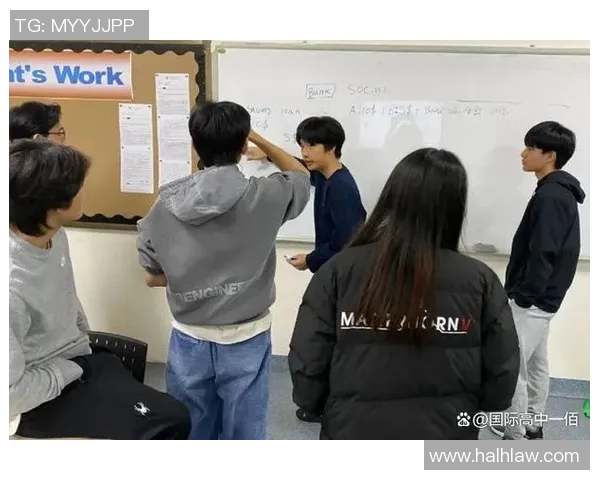 NEC比赛-NEC比赛，激发创新精神的舞台-NEC比赛